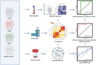 Gut microbiota and metabolic profiles in adults with unclassified diabetes: a cross-sectional study